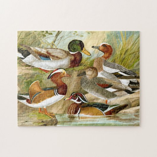 Puzzle Beaux canards Vintages (Horizontal)