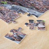 Puzzle Beaver (Côté)