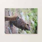 Puzzle Beaver (Horizontal)