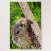 Puzzle Bébé adorable Marmotte de fond / marmotte de bois (Vertical)