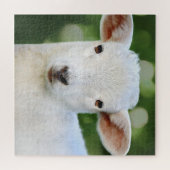 Puzzle Bébé adorable mouton (Horizontal)