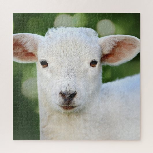 Puzzle Bébé adorable mouton (Vertical)