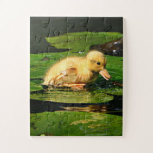 Puzzle Bébé Canard reposant sur Lily Pad