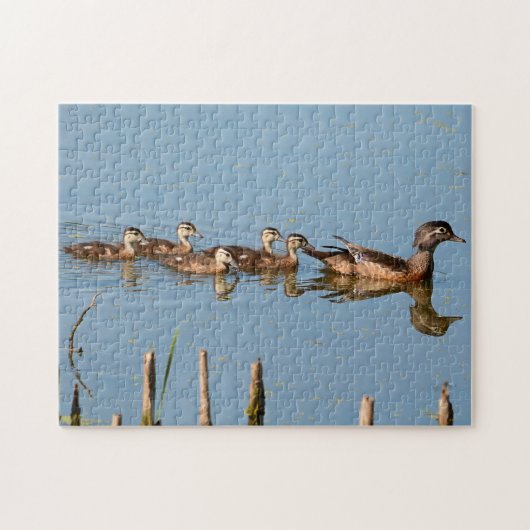 Puzzle Bébé Canards dans une rangée après Maman Jigsaw Pu (Horizontal)