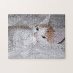 Puzzle Bébé chaton à table orange et blanc