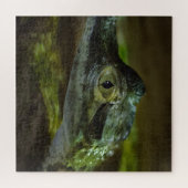 Puzzle Bébé Crocodile nager dans l'eau (Horizontal)