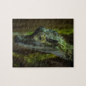 Puzzle Bébé Crocodile nager dans l'eau (Horizontal)