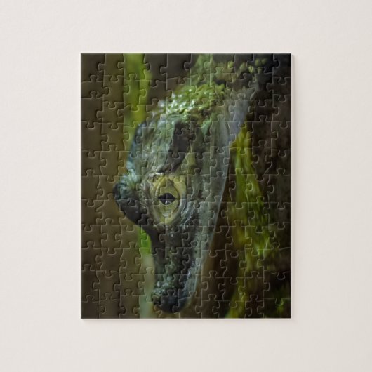 Puzzle Bébé Crocodile nager dans l'eau (Vertical)