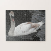 Puzzle Bébé Cygne Nageant (Horizontal)