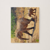 Puzzle Bébé éléphant suivant sa mère, Afrique du Sud (Vertical)