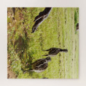 Puzzle Bébé Emu Chicks Et Big Foot, (Horizontal)