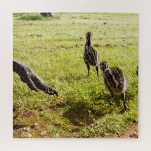 Puzzle Bébé Emu Chicks Et Big Foot,