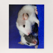 Puzzle Bébé Fancy Pet Rat Pups (Vertical)
