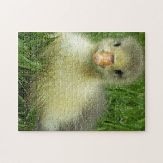 Puzzle bébé gosling (Horizontal)