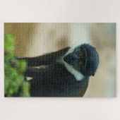 Puzzle Bébé L’Hoest Monkey (Horizontal)