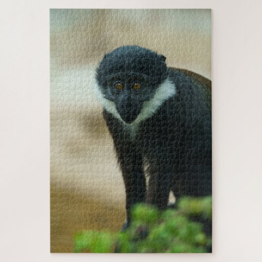 Puzzle Bébé L’Hoest Monkey (Vertical)