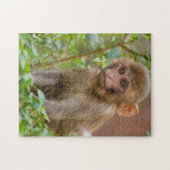 Puzzle Bébé macaque rhésus, temple des singes, Jaipur (Horizontal)