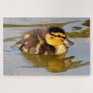Puzzle Bébé Mallard Canard Baignade
