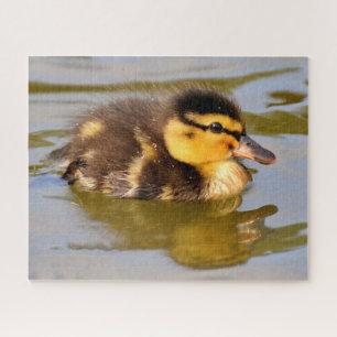 Puzzle Bébé Mallard Canard Baignade