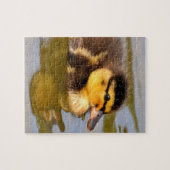 Puzzle Bébé Mallard Canard Baignade (Horizontal)