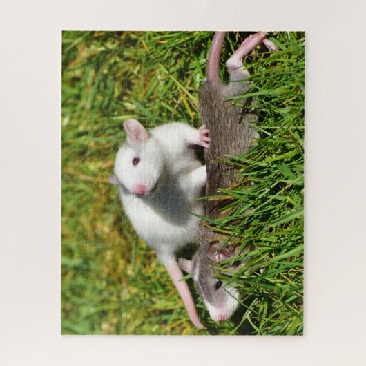 Puzzle Bébé mignon Rats d'animaux dans l'herbe (Vertical)