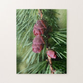 Puzzle Bébé Miniature Pine Cônes Nature (Vertical)