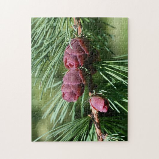 Puzzle Bébé Miniature Pine Cônes Nature (Vertical)