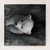 Puzzle Bébé Ours polaire avec Mère, Noir et Blanc (Horizontal)