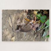 Puzzle Bébé singe (Horizontal)