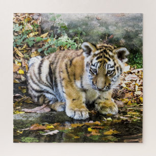 Puzzle Bébé Tigre Adorable