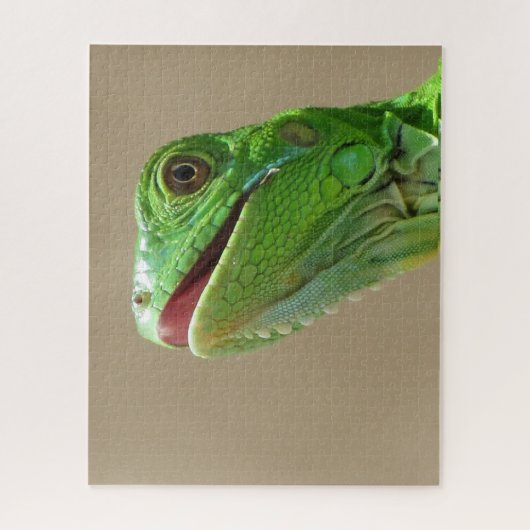 Puzzle Bébé vert Iguana (Vertical)