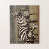 Puzzle Bébé zèbre de Burchell avec sa mère (Vertical)