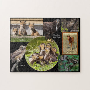 Puzzle Bébés animaux