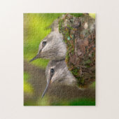 Puzzle Bébés colibris (Vertical)