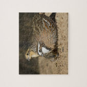 Puzzle Bébés de caille nordique Bobwhite à l'étang pour b (Vertical)