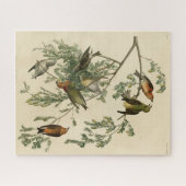 Puzzle Bec-croisé américain des oiseaux d'Amérique d'Audu (Horizontal)