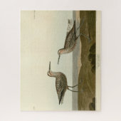 Puzzle Bécasseau à pattes longues - Audubon's Birds of Am (Vertical)