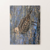 Puzzle Bécasseau de Bécasseau à la végétation spectaculai (Vertical)