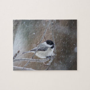 Puzzle Bécasseau noir - Songbird