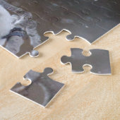 Puzzle Bécasseau noir - Songbird (Côté)