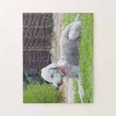 Puzzle Bedlington Terrier (Vertical)
