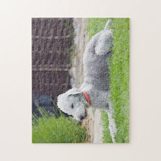 Puzzle Bedlington Terrier (Vertical)