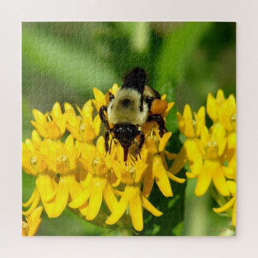 Puzzle Bee Feasting on Butterfly Weed Wildflowers (Vertical)