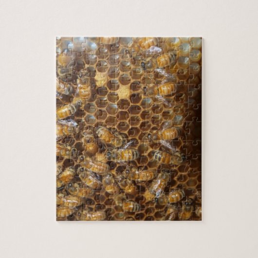 Puzzle Bee Hive (Vertical)