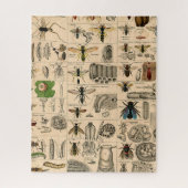 Puzzle Bee Insect Bug Wasp Natural History Bees (Vertical)