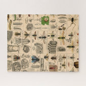 Puzzle Bee Insect Bug Wasp Natural History Bees (Horizontal)