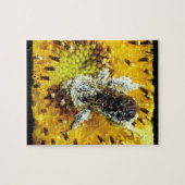 Puzzle Bee miel et tournesol (Horizontal)