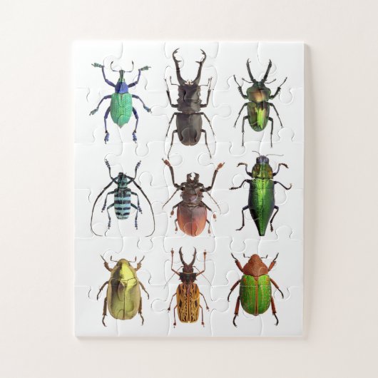 Puzzle Beetlemania Beetle Beau Bugs (Vertical)