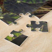 Puzzle Begonia bowerae Ziesenh. 'Étoile de Bethléem' (Côté)