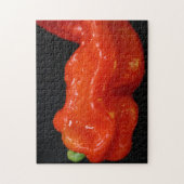 Puzzle Bell Pepper (Vertical)